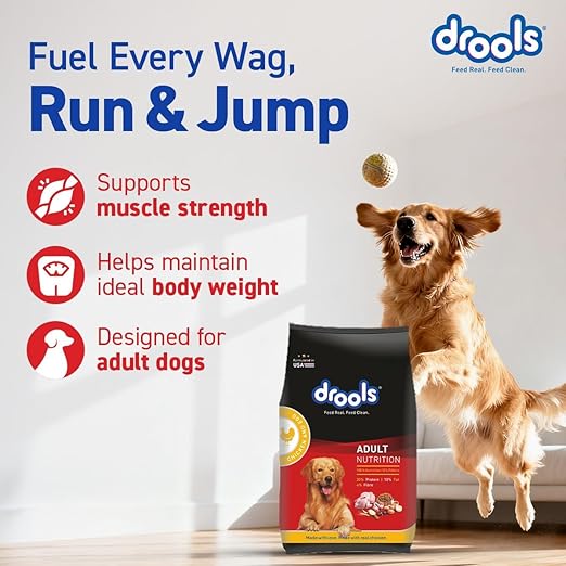 Drools Dry Dog Food All Life Stages 3kg | 100% Vegetarian Flavour | Supports Digestive Health | Strong Bones & Teeth | Boosts Immunity | Healthy Skin & Shiny Coat - Image 2