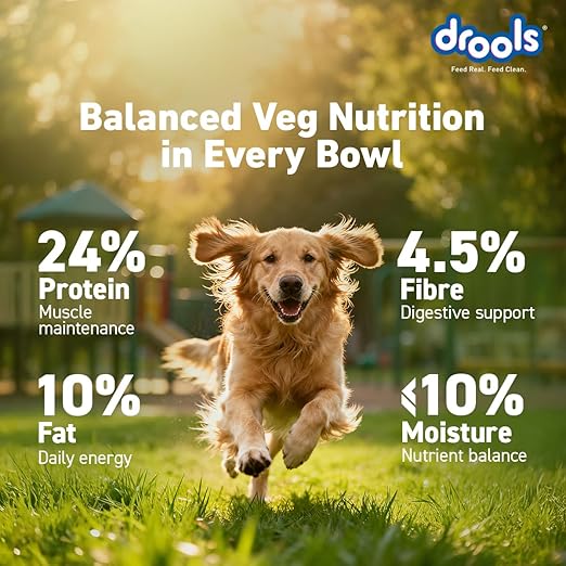 Drools Dry Dog Food All Life Stages 3kg | 100% Vegetarian Flavour | Supports Digestive Health | Strong Bones & Teeth | Boosts Immunity | Healthy Skin & Shiny Coat - Image 4